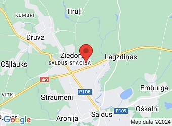  "Rīgas - Liepājas šoseja 98", Saldus pagasts, Saldus nov., LV-3862,  Priede, SIA