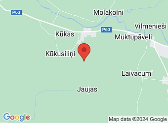  "Zīlītes", Jaujas, Rožupes pagasts, Līvānu nov., LV-5316,  Psiholoģiskās, medicīniskās un praktiskās palīdzības centrs