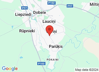  Zaļā 111, Dobele, Dobeles nov., LV-3701,  RAIVES, SIA