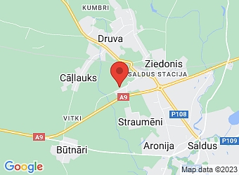  "Rīgas-Liepājas šoseja 101C", Saldus pagasts, Saldus nov., LV-3862,  Reneta, SIA
