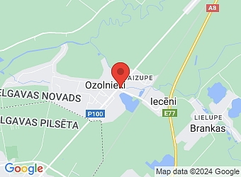  Ozolnieki, Eglaines 2, Ozolnieku pagasts, Jelgavas nov. LV-3018,  Renzo, SIA