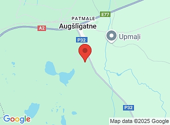  "Briņķi 1", Augšlīgatne, Līgatnes pagasts, Cēsu nov., LV-4108,  Riinii, SIA