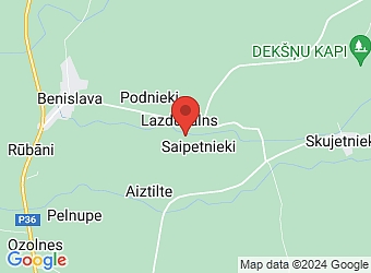  "Saipetnieku mājas", Lazdukalna pagasts, Balvu nov., LV-4577,  Saipetnieki, ZS