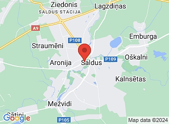  Avotu 12A, Saldus, Saldus nov., LV-3801,  Saldus Mākslas skola