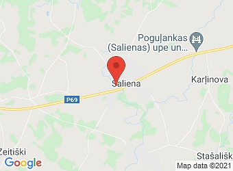 Saliena, Centrāles 17, Salienas pagasts, Augšdaugavas nov., LV-5469,  Salienas feldšeru un vecmāšu punkts