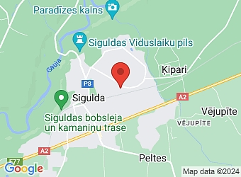  Dārza 24, Sigulda, Siguldas nov., LV-2150,  Saskarne, SIA