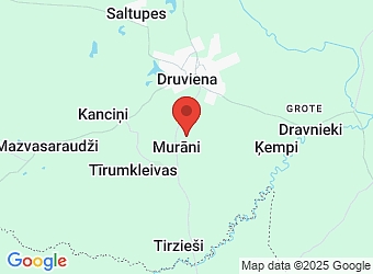  "Saulaiņi", Druvienas pagasts, Gulbenes nov., LV-4426,  Saulaiņi, ZS