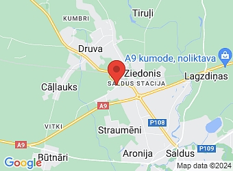  Kuldīgas 90, Saldus, Saldus nov. LV-3801,  Sentence, SIA