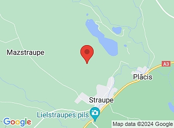  "Jurģīši", Straupes pagasts, Cēsu nov., LV-4152,  SGM Silva, SIA