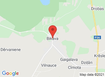  Bikava , Gaigalavas pagasts, Rēzeknes nov., LV-4618,  Sīļusala, ZS
