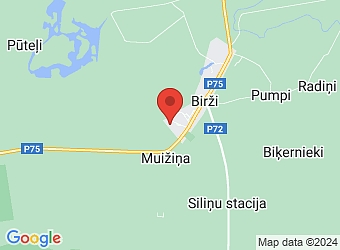  "Intas", Birži, Salas pagasts, Jēkabpils nov., LV-5214,  Skujaine, SIA
