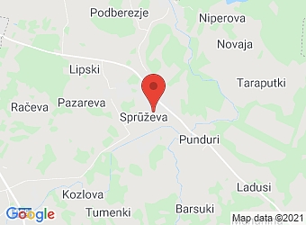  Sprūževa , Griškānu pagasts, Rēzeknes nov., LV-4641,  Sprūževa M, SIA