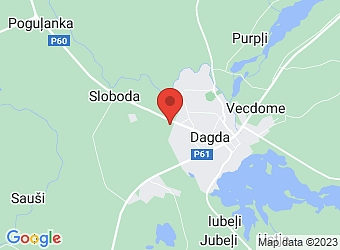  "Delve" , Dagdas pagasts, Krāslavas nov., LV-5674,  Staisons, SIA