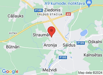  Aspazijas 35, Saldus, Saldus nov. LV-3801,  Taksi Tornado, IU