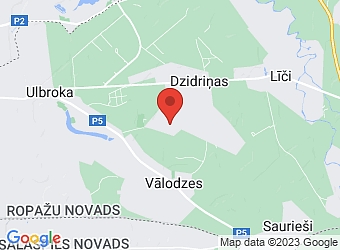  Dzidriņas, Cepļa 23, Stopiņu pagasts, Ropažu nov., LV-2130,  Transarms, SIA