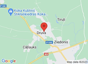  Druva, J. Rozentāla 1-8, Saldus pagasts, Saldus nov., LV-3862,  Trīs D, biedrība