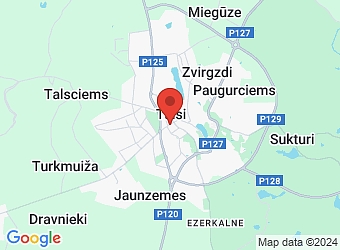  Raiņa 10, Talsi, Talsu nov., LV-3201,  Troll Aksel, SIA