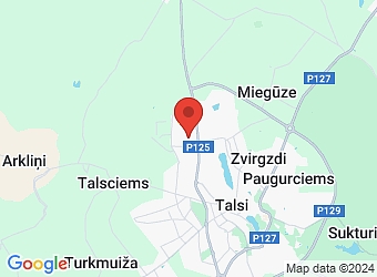  Ziemeļu 44, Talsi, Talsu nov., LV-3201,  Uldis Mednis, IK