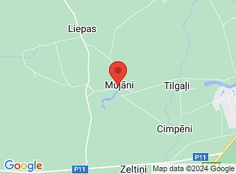  "Baltakmeņu Muiža", Kocēnu pagasts, Valmieras nov., LV-4220,  Valmieras Zaļās skolas PAMATSKOLA