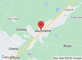  Jaunolaine, Priežu 25, Olaines pagasts, Olaines nov., LV-2127,  Vanadziņš 1991