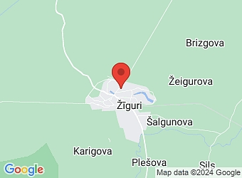  Žīguri, Parka 14, Žīguru pagasts, Balvu nov. LV-4584,  Vecāku klubiņš