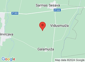  "Vēji", Sesavas pagasts, Jelgavas nov., LV-3034,  Vēji, ZS