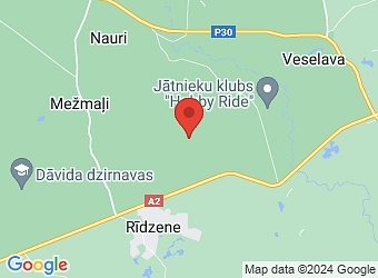  "Vīlipļustes", Vaives pagasts, Cēsu nov., LV-4136,  Vidzemes orķestru atbalsta biedrība