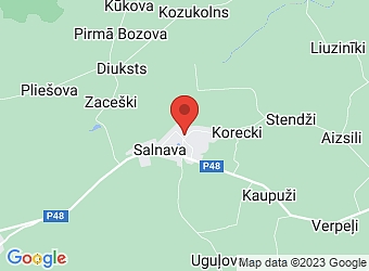  Salnava, Ozolu 2, Salnavas pagasts, Ludzas nov., LV-5740,  Vientuļvilki, ZS