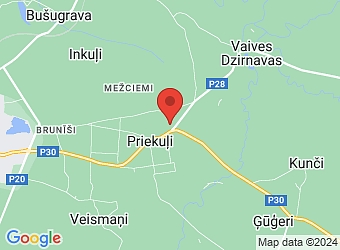  Cēsu prospekts 31A, Priekuļi, Priekuļu pagasts, Cēsu nov., LV-4126,  Vikauto Plus, SIA