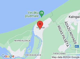  Ziedu 10-1, Rīga LV-1030,  Wood Chemicals, SIA