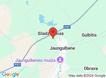  Jaungulbenes pagasts, Gulbenes nov. LV-4420,  Wood OP, SIA