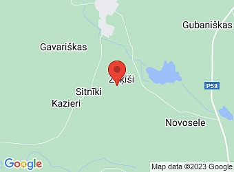  "Dzilnas", Zaķīši, Vārkavas pagasts, Preiļu nov., LV-5335,  Zaķīši, veikals