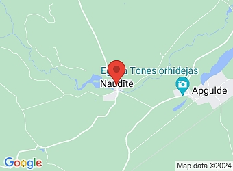  "Ziedugravas 1", Naudīte, Naudītes pagasts, Dobeles nov. LV-3724,  Ziedugravas, SIA