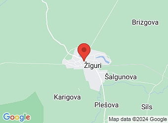  Viļakas 25A, Žīguri, Žīguru pagasts, Balvu nov. LV-4584,  Žīguru aptieka, IK