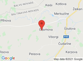  Odumova , Baltinavas pagasts, Balvu nov., LV-4572,  Zirdziņi, ZS