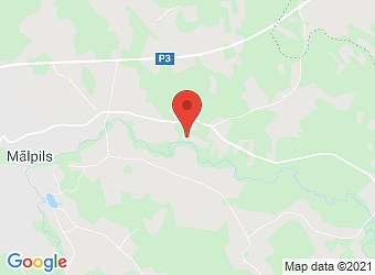  "Lejaszirņi" , Mālpils pagasts, Siguldas nov. LV-2152,  Zirnis, SIA