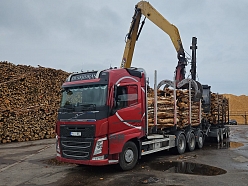 Kokvedēja transporta pakalpojumi