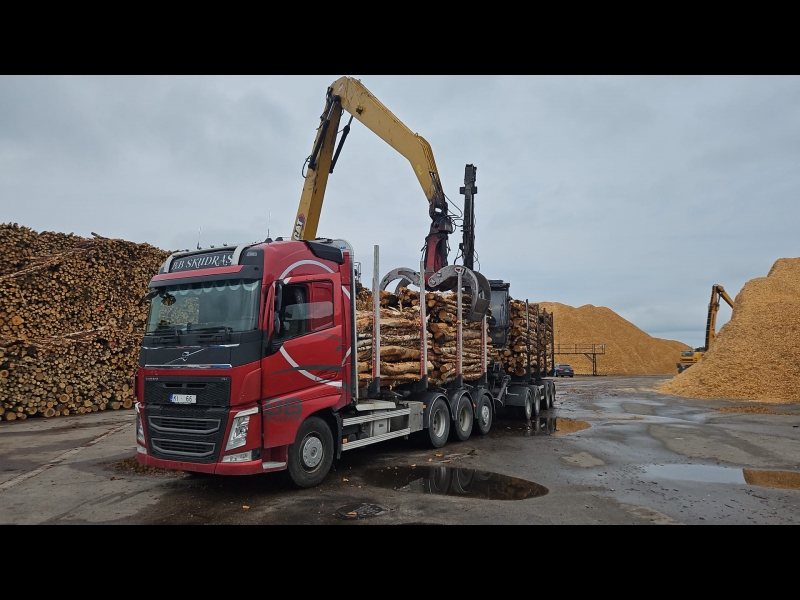 Kokvedēja transporta pakalpojumi