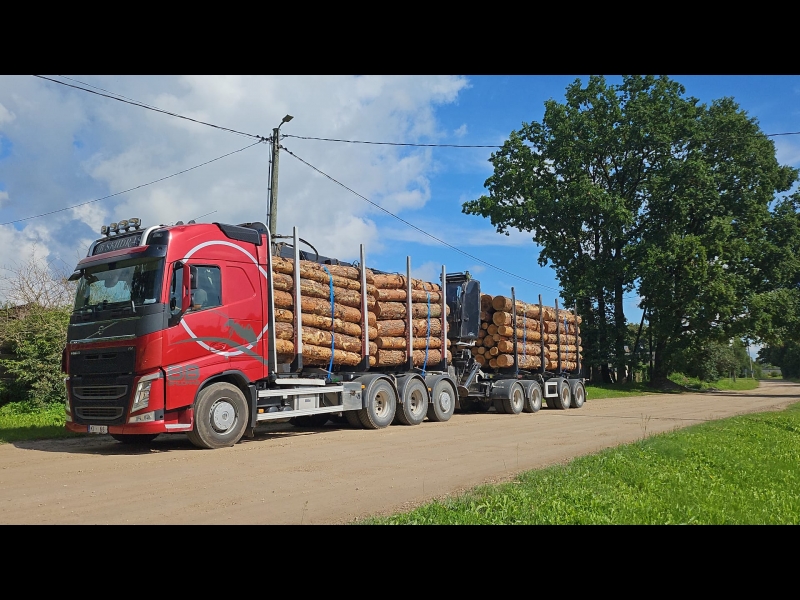Kokvedēja pakalpojumi mežizstrādei