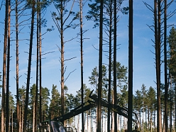 Mežizstrāde forvarders