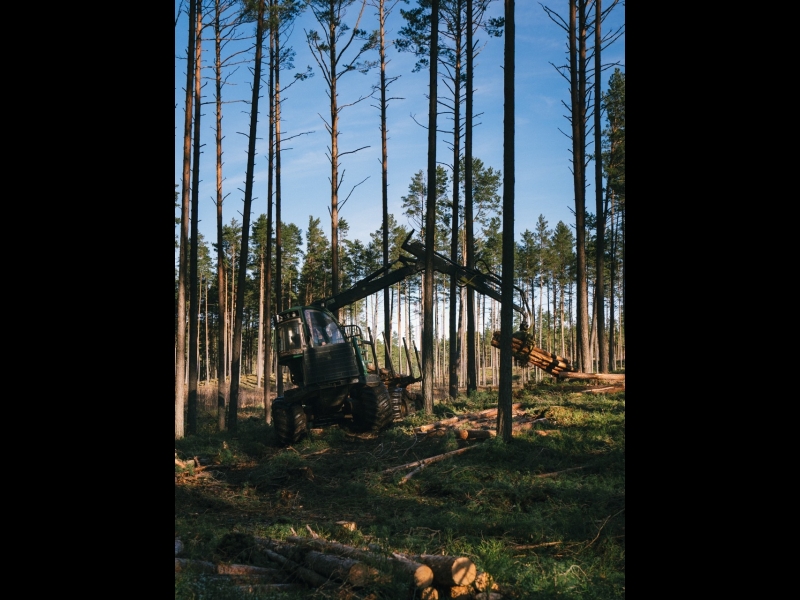 Mežizstrāde forvarders