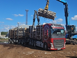 Kokvedēja pakalpojumi