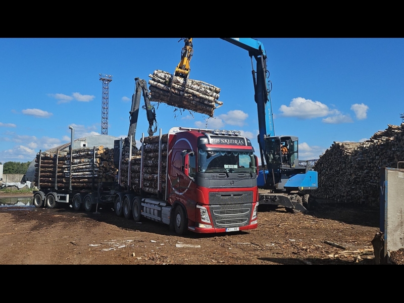 Kokvedēja pakalpojumi