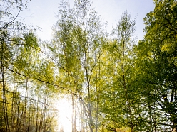 Teltis Liepās atmosfēra