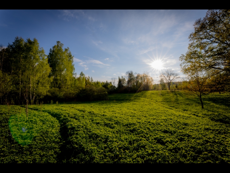 Teltis Liepās teritorija