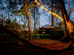 Teltis Liepās teritorija