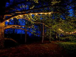 Teltis Liepās teritorija