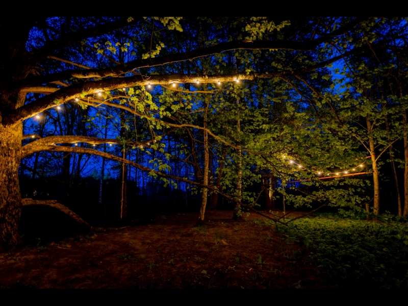 Teltis Liepās teritorija