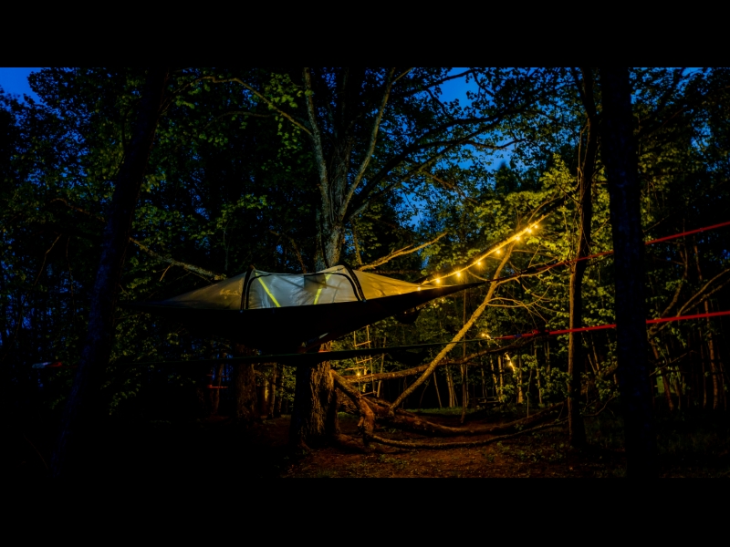 Teltis Liepās teritorija