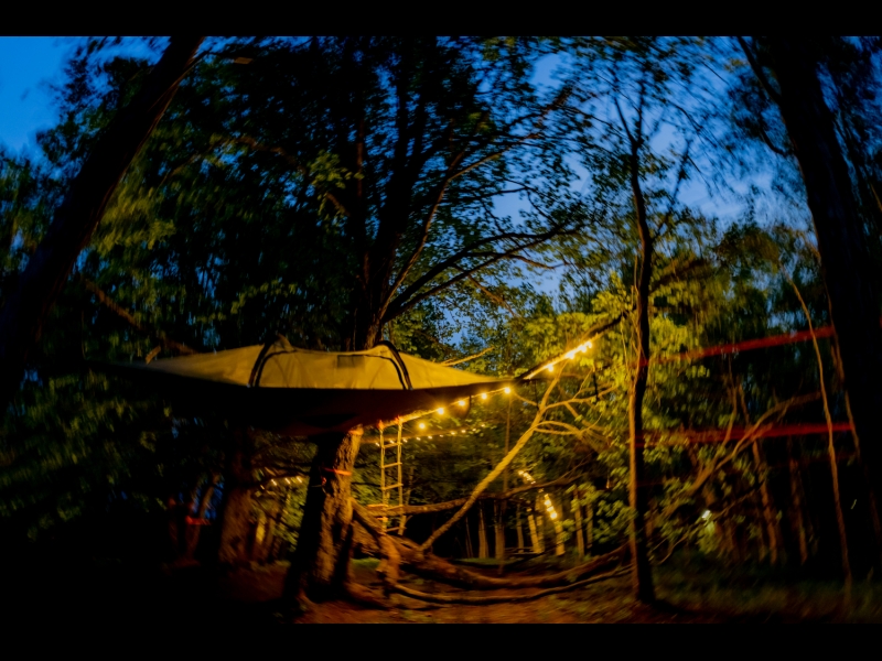 Teltis Liepās teritorija